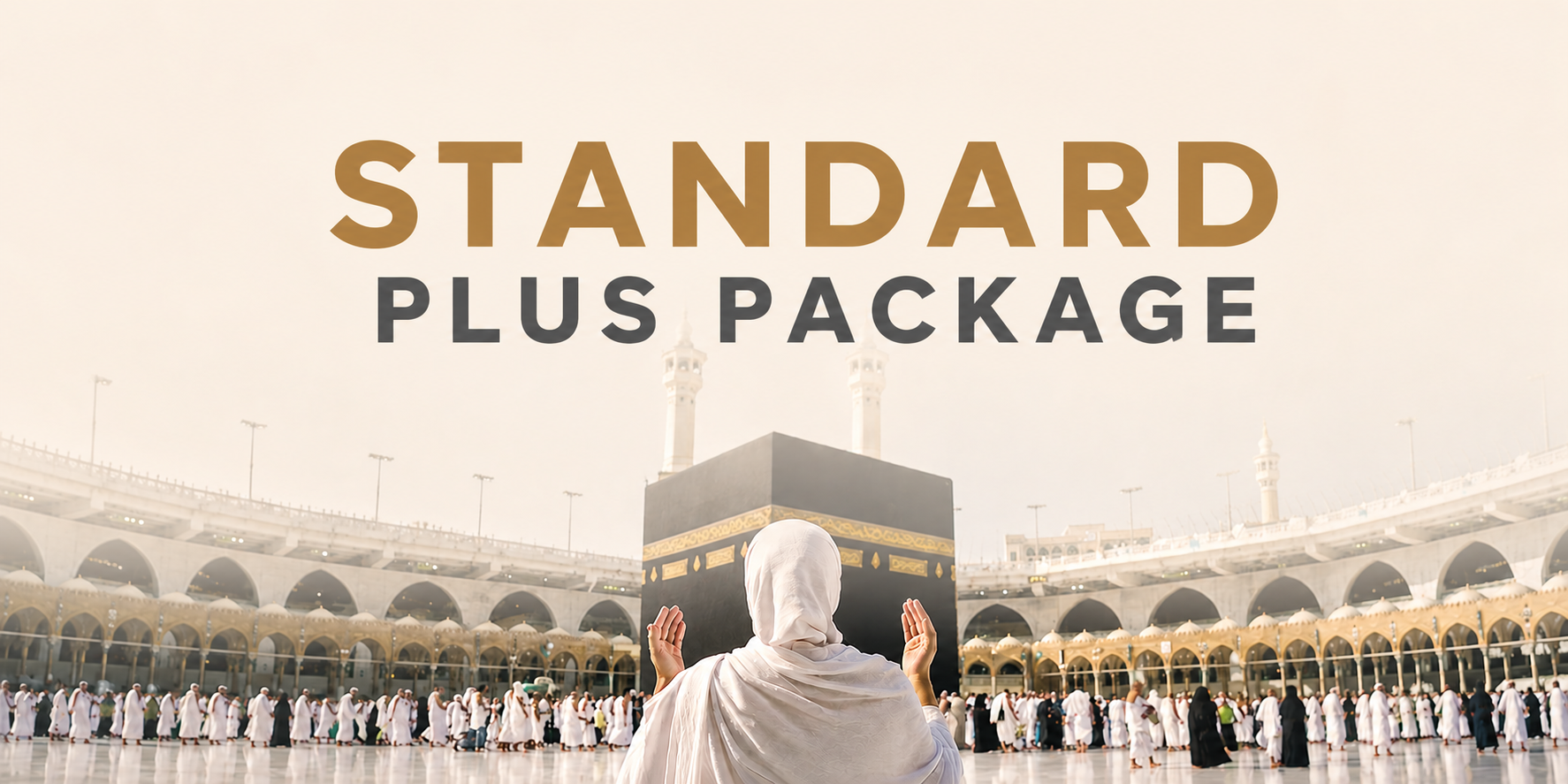 Standard Plus Package